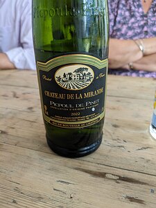 20230902_PXL121023283_Pixel7a-JEB